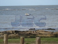 Punta Carretas (Montevideo), Ventas, Apartamentos