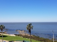 Punta Carretas (Montevideo), Alquiler y Venta, Apartamentos