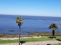 Apartamentos Punta Carretas Montevideo Alquileres